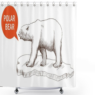 Personality  Polar Bear Shower Curtains