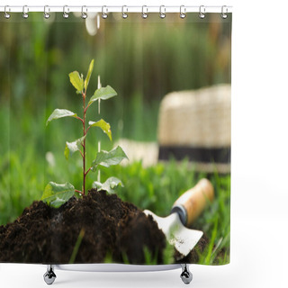 Personality  Watering Seedling In Fresh Soil Outdoors, Closeup. Planting Tree Shower Curtains