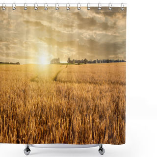 Personality  Golden Wheat Field Shower Curtains