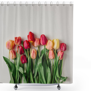 Personality  Tulips On White Background Shower Curtains