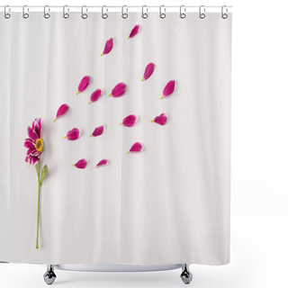 Personality  Pink Flower And Petals Shower Curtains