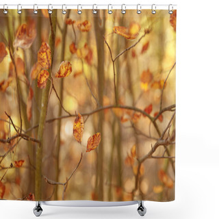 Personality  Selective Focus Of Trees With Yellow Leaves In Autumnal Park At Day  Shower Curtains
