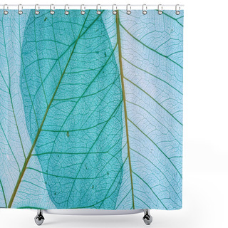 Personality  Leaves Background Shower Curtains