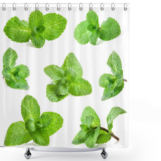 Personality  Collections Of Fresh Mint Shower Curtains