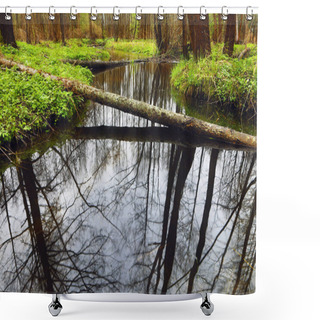 Personality  Picturesque Spring Forest And River. Shower Curtains