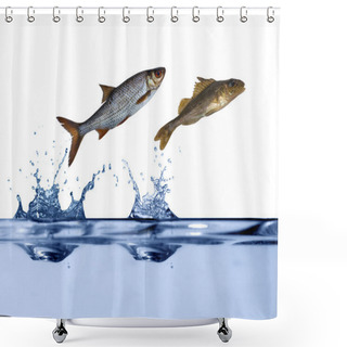 Personality  Two Small Fishes Jumping Shower Curtains