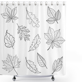 Personality  Set Of Leaves. Black And White Image Shower Curtains