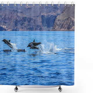 Personality  Dolphins Jumping Mexico Shower Curtains