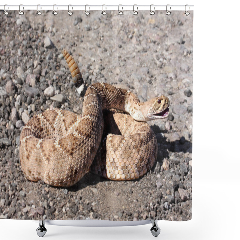 Personality  Western Diamondback Rattlesnake (Crotalus Atrox) Shower Curtains