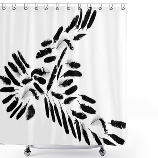 Personality  Black Pigeon Silhouette Formed By Feathers Shower Curtains