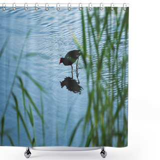 Personality  The Estuary Of San Jos, Is The Most Important Natural Space In Town,  More Than 200 Species Of Animals (70% Birds)  Can Be Found Here In This Quiet Peaceful Place  Shower Curtains