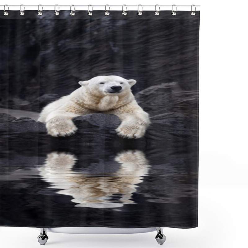 Personality  White Bear On The Rocks, Lying Polar Bear Situated On A Rock, Re Shower Curtains