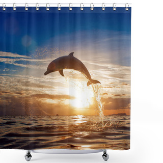 Personality  Beautiful Dolphin Jumping From Shining Water Shower Curtains
