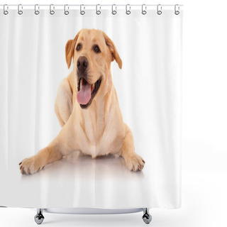 Personality  Happy Retriever Labrador Shower Curtains