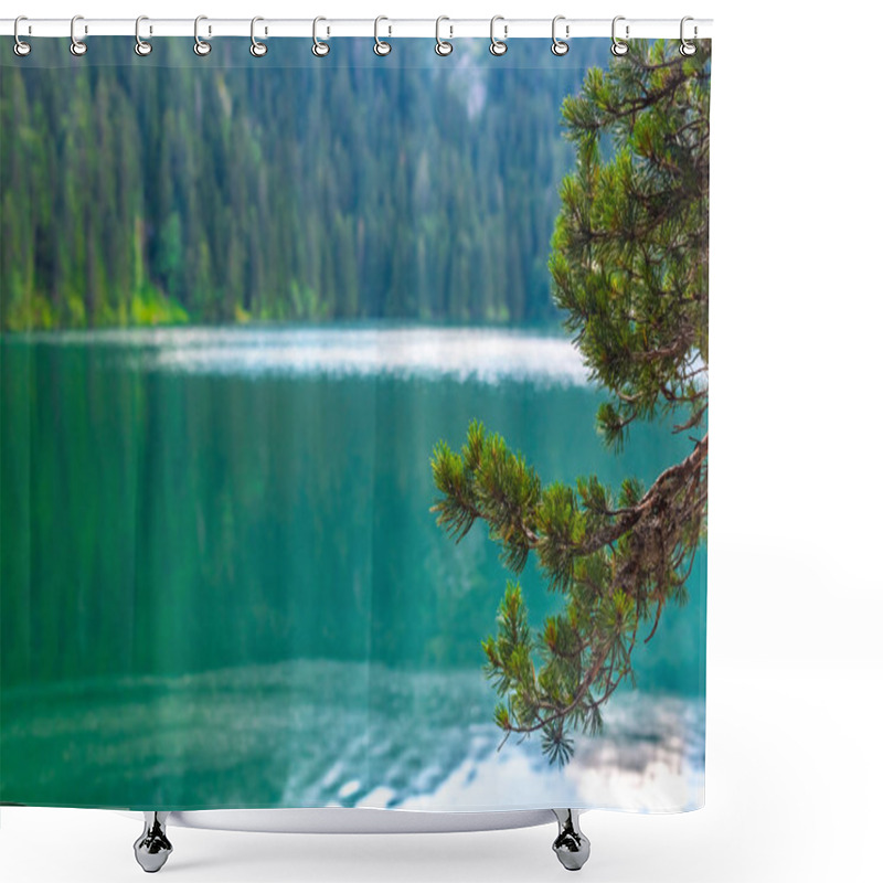 Personality  Beautiful Glacial Black Lake And Pine Branches In Montenegro Shower Curtains