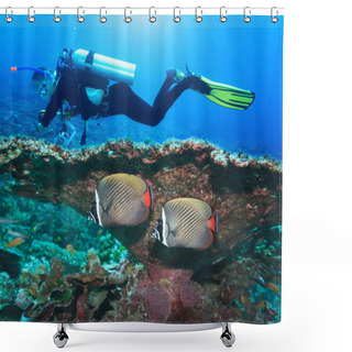 Personality  Diver And Angelfishes Shower Curtains