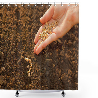 Personality  Corn Sowing By Hand Shower Curtains