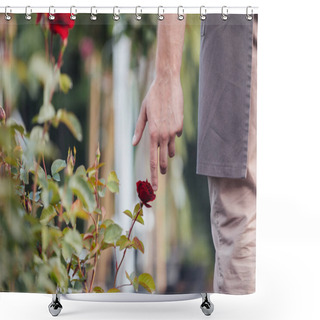 Personality  Man Touching Red Rose In Garden Shower Curtains