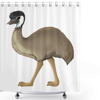 Personality  Cartoon Animal Emu Walking Shower Curtains