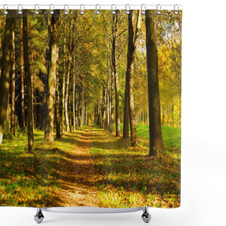 Personality  Autumn Park Shower Curtains