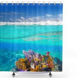 Personality  Mayan Riviera Coral Reef Underwater Up Down Waterline Shower Curtains