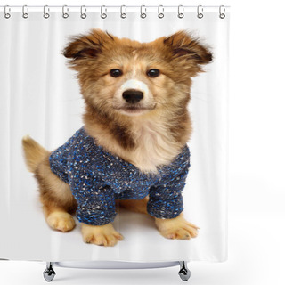 Personality  Cute Puppy In Sweater  Shower Curtains
