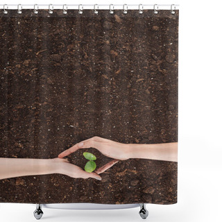 Personality  Cropped View Of Man And Woman Holding Ground With Plant In Hands, Protecting Nature Concept  Shower Curtains