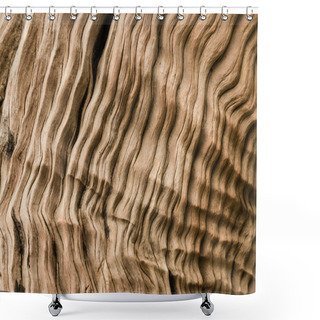 Personality  Detail Of Dry Driftwood Shower Curtains