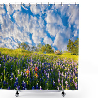 Personality  Bluebonnets And Indian Paintbrushes On Display In Rural Texas On A Sunny Spring Afternoon Shower Curtains