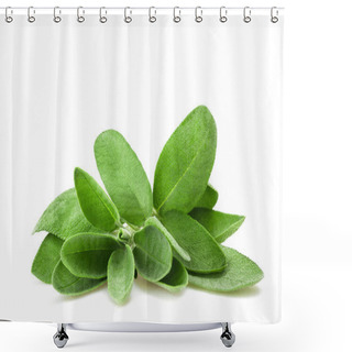 Personality  Fresh  Sage Sprig Isolated On White Background Shower Curtains