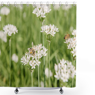 Personality  Close-up Shot Of Bees Sitting On White Field Flowers Shower Curtains