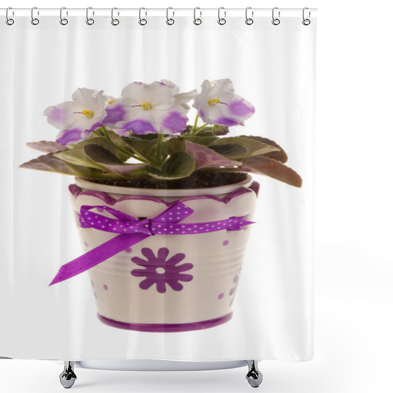 Personality  Violet Flower In The Pot Isolated. Shower Curtains
