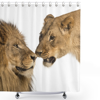 Personality  Close-up Of Lion And Lioness, Panthera Leo, Isolated On White Shower Curtains