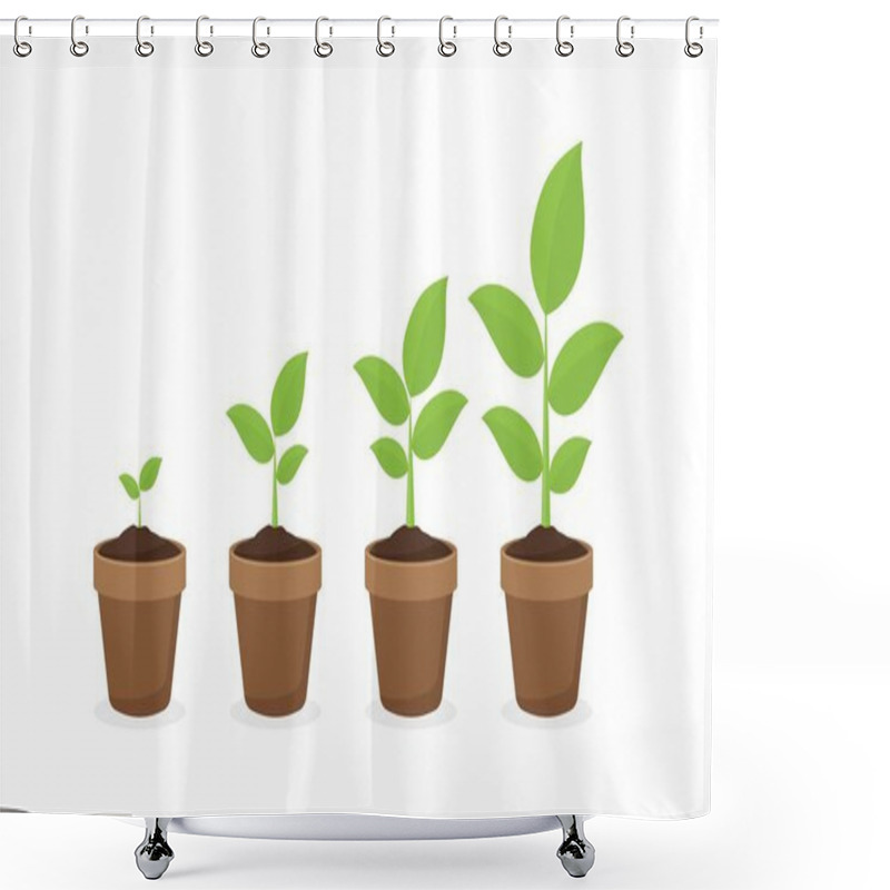 Personality  Growing Plant In Process. On White Background. Shower Curtains