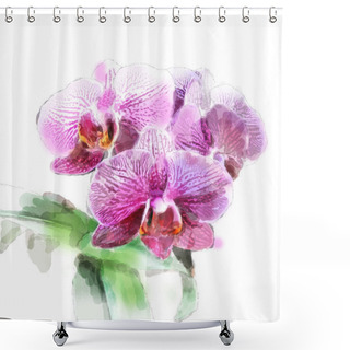 Personality  Watercolor Illustration Of Orchid Brunch Shower Curtains