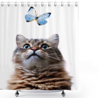 Personality  Shorthair Kitty Shower Curtains