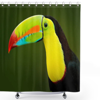 Personality  Detail Portrait Of Toucan Shower Curtains