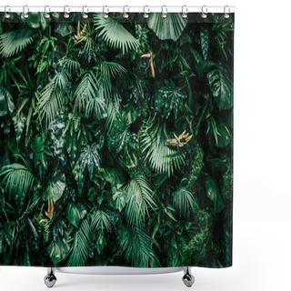 Personality  Tropical Leaves As Nature And Environmental Background, Botanical Garden And Floral Backdrop, Plant Growth And Landscape Design Shower Curtains