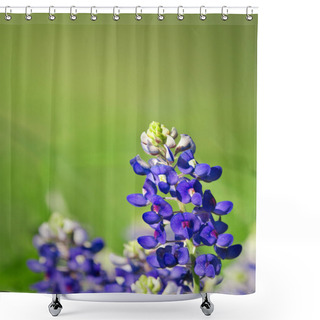 Personality  Texas Bluebonnets Shower Curtains