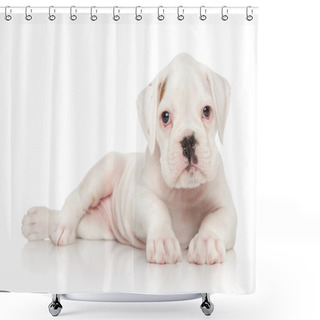 Personality  German Boxer Puppy On White Shower Curtains