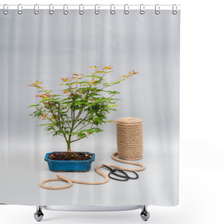 Personality  Bonsai Maple With Red And Yellow Leaves On Light Gray Background. Shower Curtains