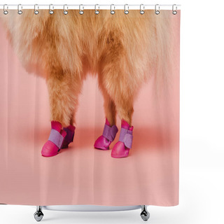 Personality  Cropped View Of Pomeranian Spitz Standing In Dog Shoes On Pink Shower Curtains
