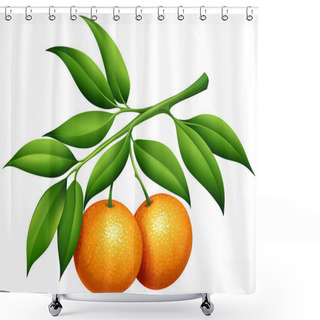 Personality  Oranges With Stem And Leaves Shower Curtains