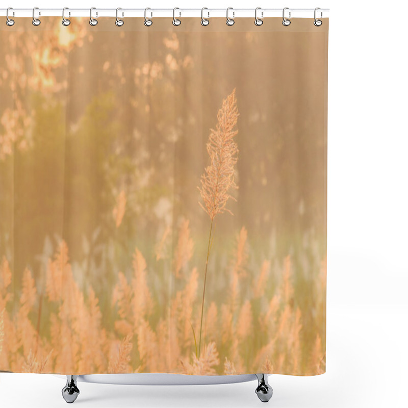 Personality  Reed Grass Closeup On Foggy Morning  Shower Curtains