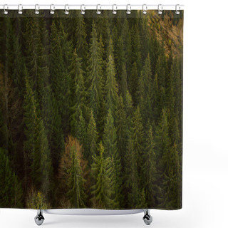 Personality  Scenic View Of Green Trees Growing On Hill Shower Curtains
