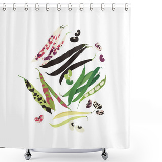 Personality  Collection Of Multicoloured Bean Pods, Healthy Eating Concept, Food Illustration, Flat Design Shower Curtains