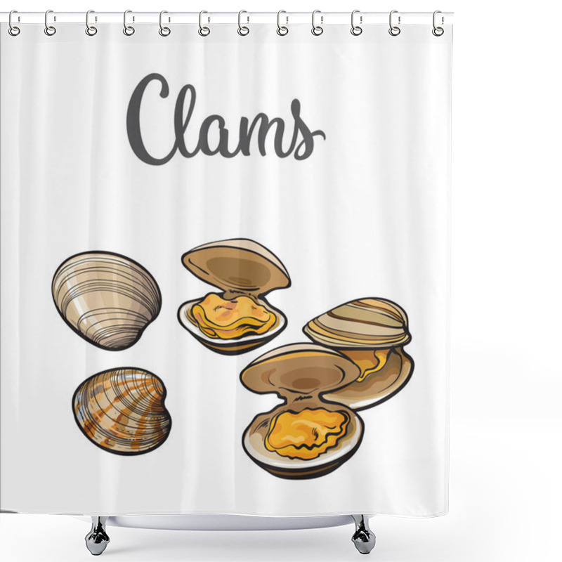 Personality  Raw Clams Isolated On White Background Shower Curtains