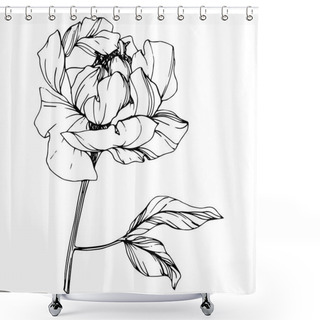 Personality  Vector Isolated Monochrome Peony Flower Sketch On White Background. Engraved Ink Art.  Shower Curtains