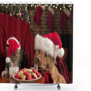 Personality  Cat And Dog Eating And Drinking Santa' Shower Curtains