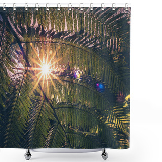 Personality  Fern Leaf And Sunrays Shower Curtains